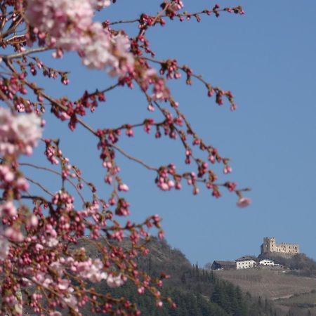Sir Thomas Bed&More Bozen Exterior foto